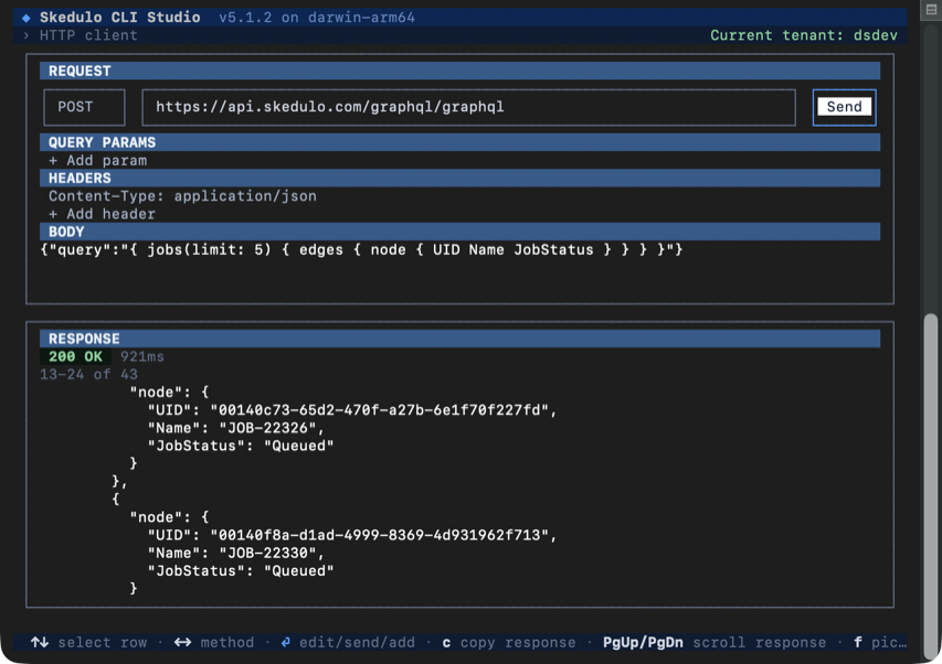 The HTTP client screen in Skedulo CLI Studio