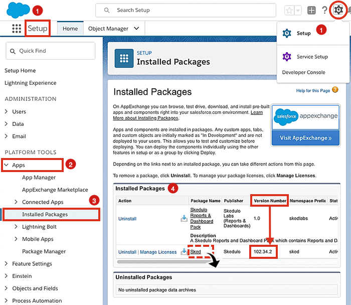 Viewing the installed packages in a Salesforce organization.