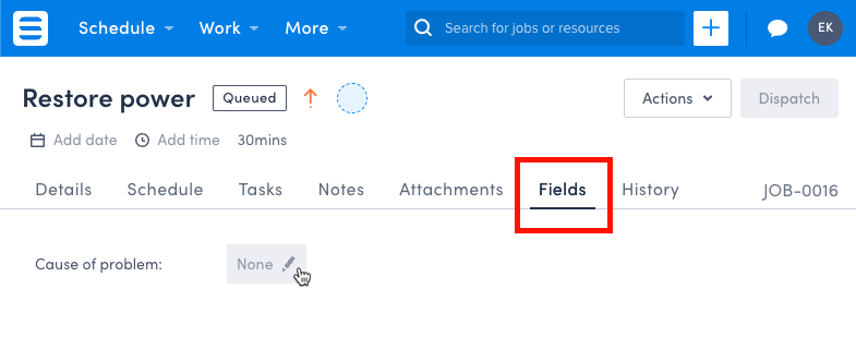 Screenshot of the job details page, showing the Fields tab with a custom field