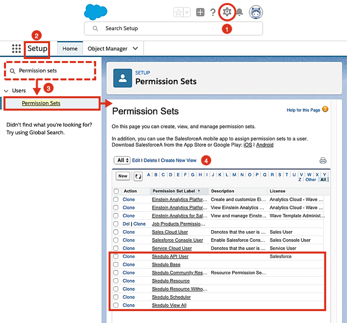 Viewing Skedulo permission sets using Salesforce Lightning.