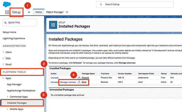 An example showing how to find Skedulo licenses via Installed Packages in Salesforce Lightning.