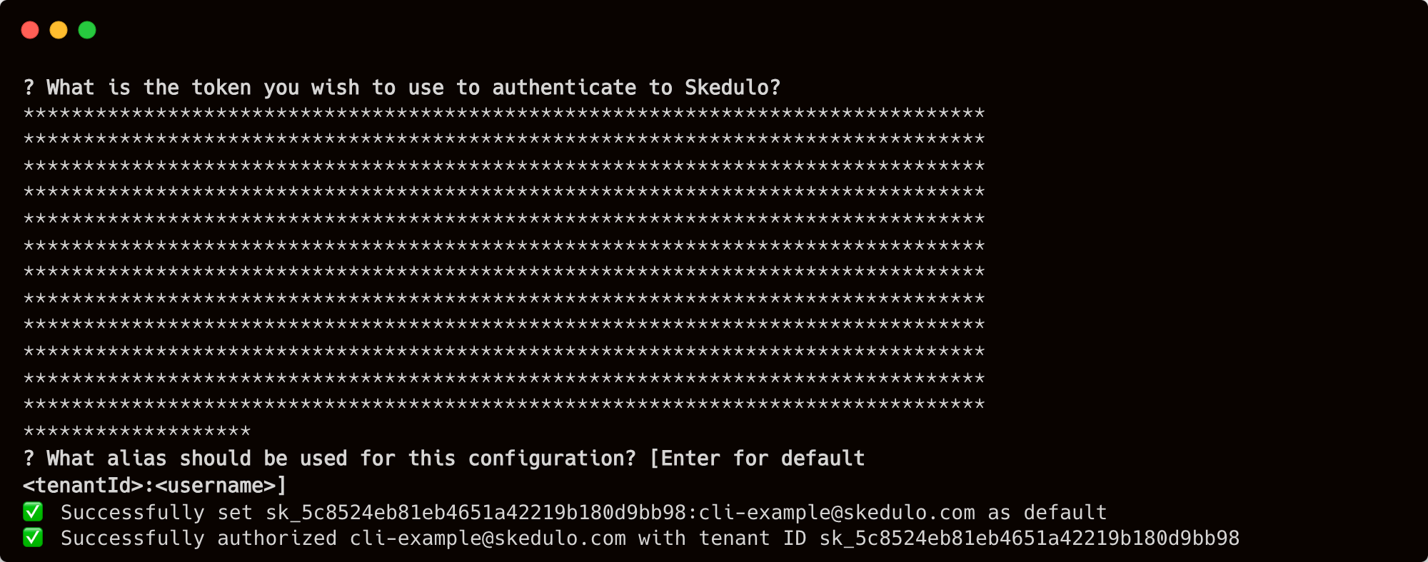 token login with the Skedulo CLI